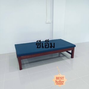 เตียงหัตถการชนิดเตี้ยพร้อมเบาะ